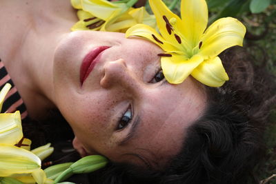 Close-up of a yellow flower