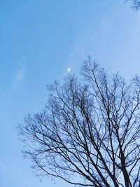 Low angle view of bare tree against clear sky