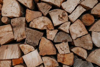 Full frame shot of logs in forest