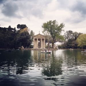 Swan by lake against sky