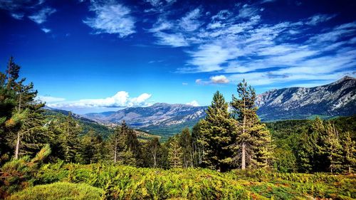 Scenic view of landscape against blue sky