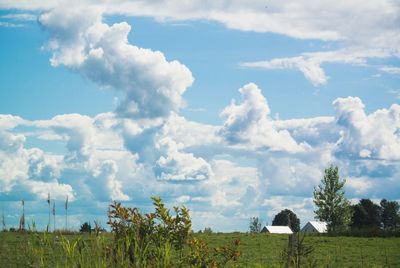 Scenic view of grassy field against cloudy sky