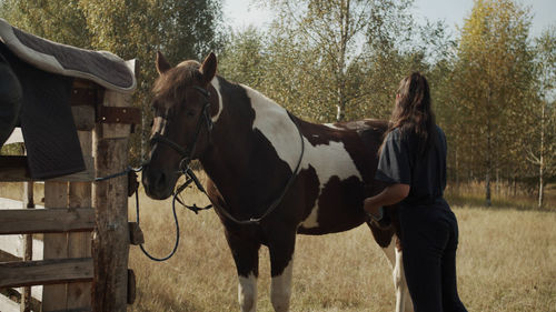 Horse standing in field