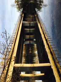 Reflection of trees in water