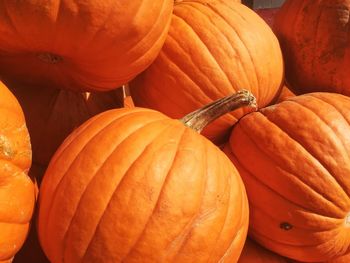 Full frame shot of pumpkins at market