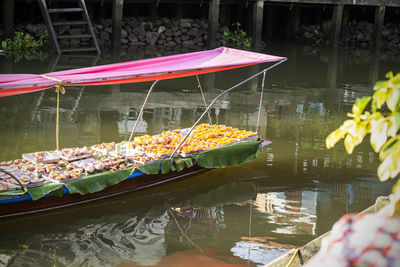 Lotus floating on water in lake