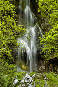 Scenic view of waterfall in forest