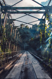 View of footbridge through plants