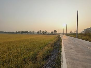 Road amidst field against clear sky during sunset