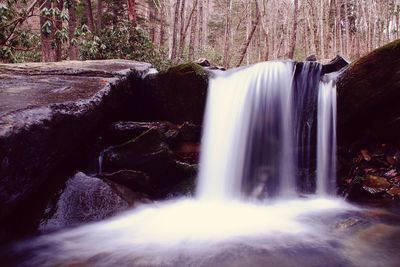 View of waterfall in forest