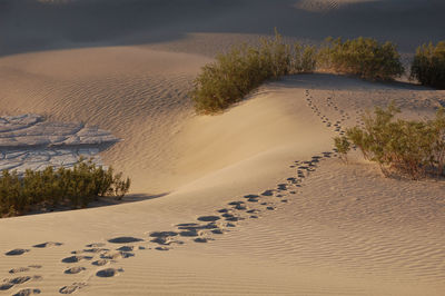 Footprints on sand at desert against sky