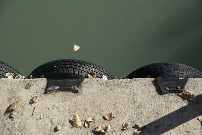 Tires mounted on wall