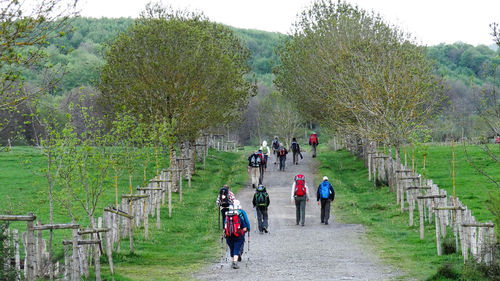 Rear view of people walking on footpath amidst grassy field