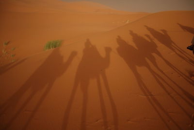 Shadow of people on sand dune