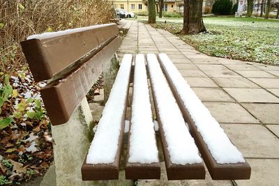 Empty footpath in park