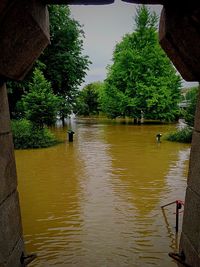 View of canal along trees