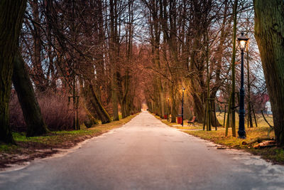 Road amidst trees in forest during autumn