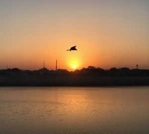 Silhouette bird flying over river against sky during sunset