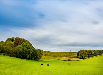 Scenic view of agricultural field against sky