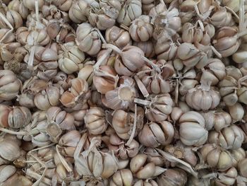 Pile of garlic in supermarket jakarta. fresh and healthy garlic. taken from above 