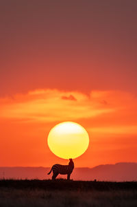 Scenic view of sunset