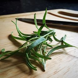 Close-up of leaves on wooden table