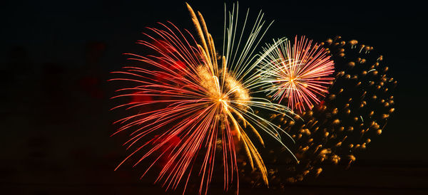 Low angle view of firework display at night