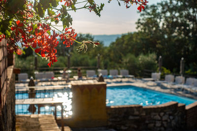 Scenic view of swimming pool by trees against sky