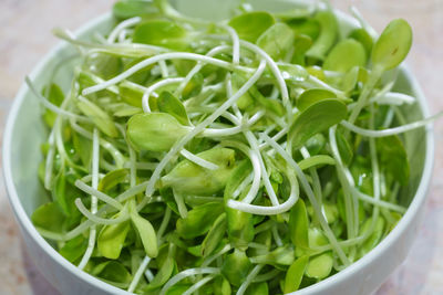 High angle view of chopped vegetables in bowl on table