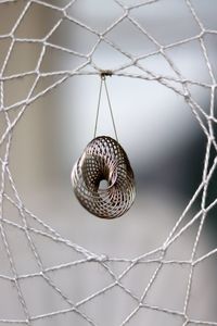 Close-up of snail on metal fence