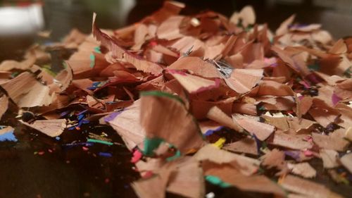 Close-up of pencil shavings on table