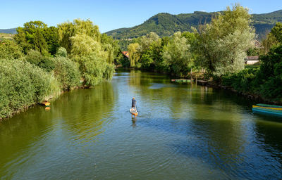 Rear view of man paddling on sup board on river.