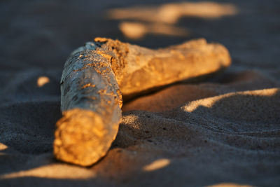 Close-up of rusty metal