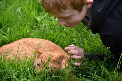 Boy looking at ginger cat relaxing on grassy field