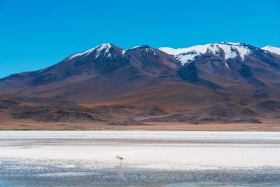 Scenic view of lake and mountains against clear blue sky