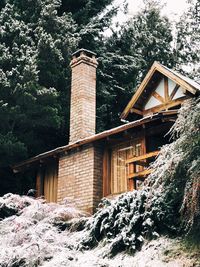 Low angle view of building by trees in forest