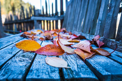 Close-up of coloful autumn leaves on a bench with grey patina