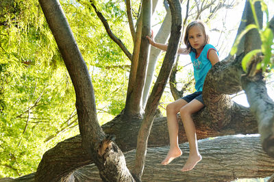 Portrait of smiling girl sitting on tree