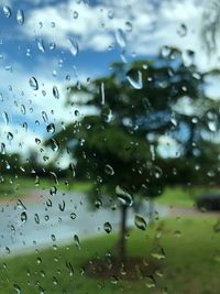 Raindrops on glass window