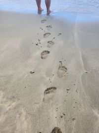 Low section of person standing on beach