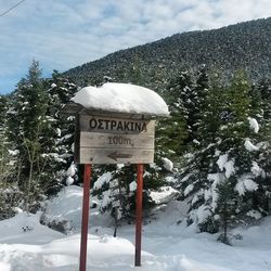 snow