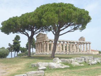 Trees in front of temple against sky