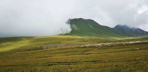 Scenic view of landscape against sky