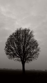 Bare tree on landscape against the sky