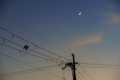 Low angle view of silhouette birds on cable against sky