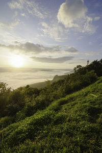 Scenic view of landscape against sky during sunset