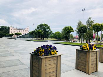 View of flowering plants in city against sky