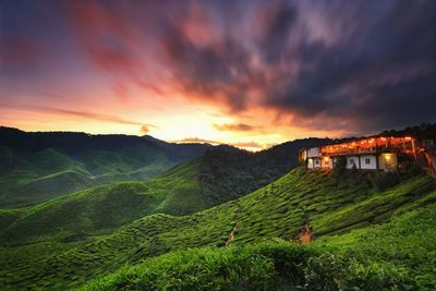 Scenic view of agricultural field against dramatic sky at sunset