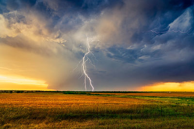 Scenic view of lightning over field during sunset