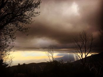 Silhouette trees against dramatic sky